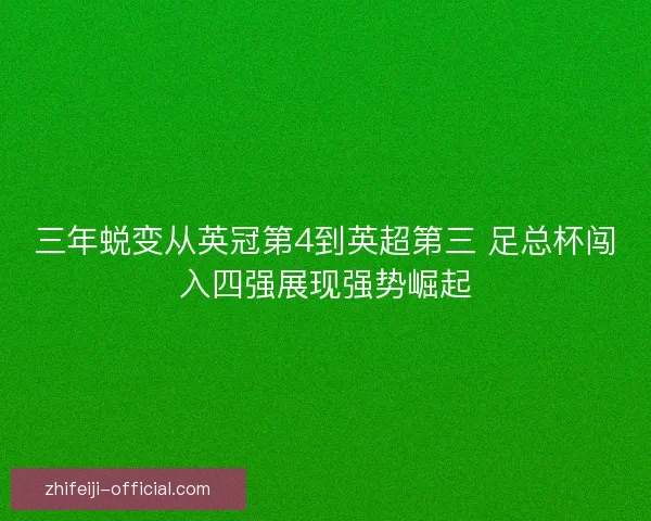 三年蜕变从英冠第4到英超第三 足总杯闯入四强展现强势崛起