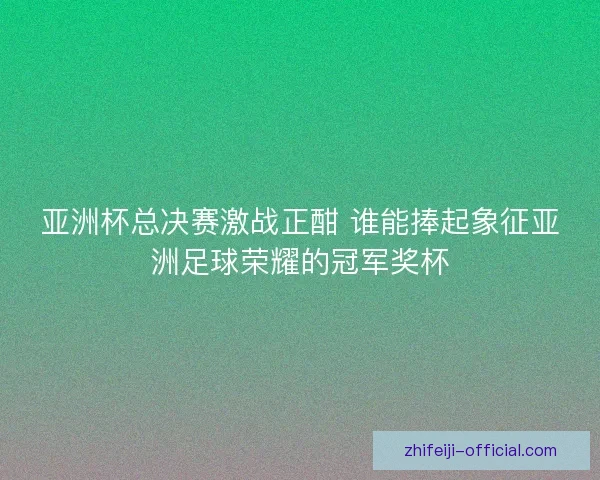 亚洲杯总决赛激战正酣 谁能捧起象征亚洲足球荣耀的冠军奖杯